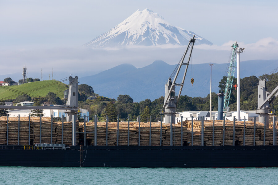 Toploader Logs and Mountain