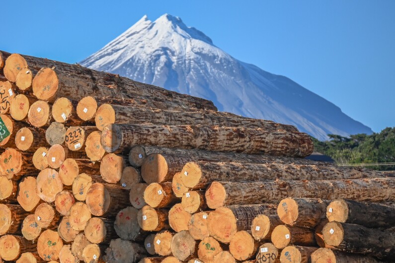 Logs-Mt-Taranaki