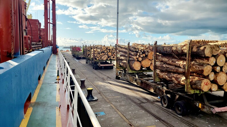 Port Taranaki logs 2025